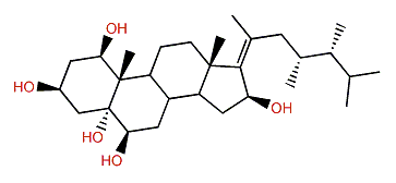 Lobophysterol C